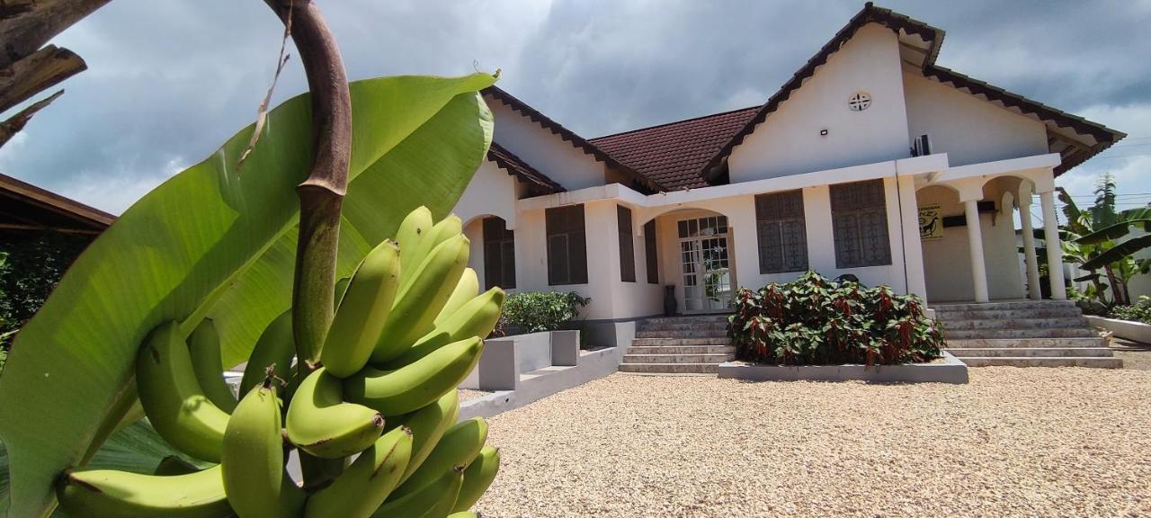 Garden Pearls Hotel Nungwi Bagian luar foto