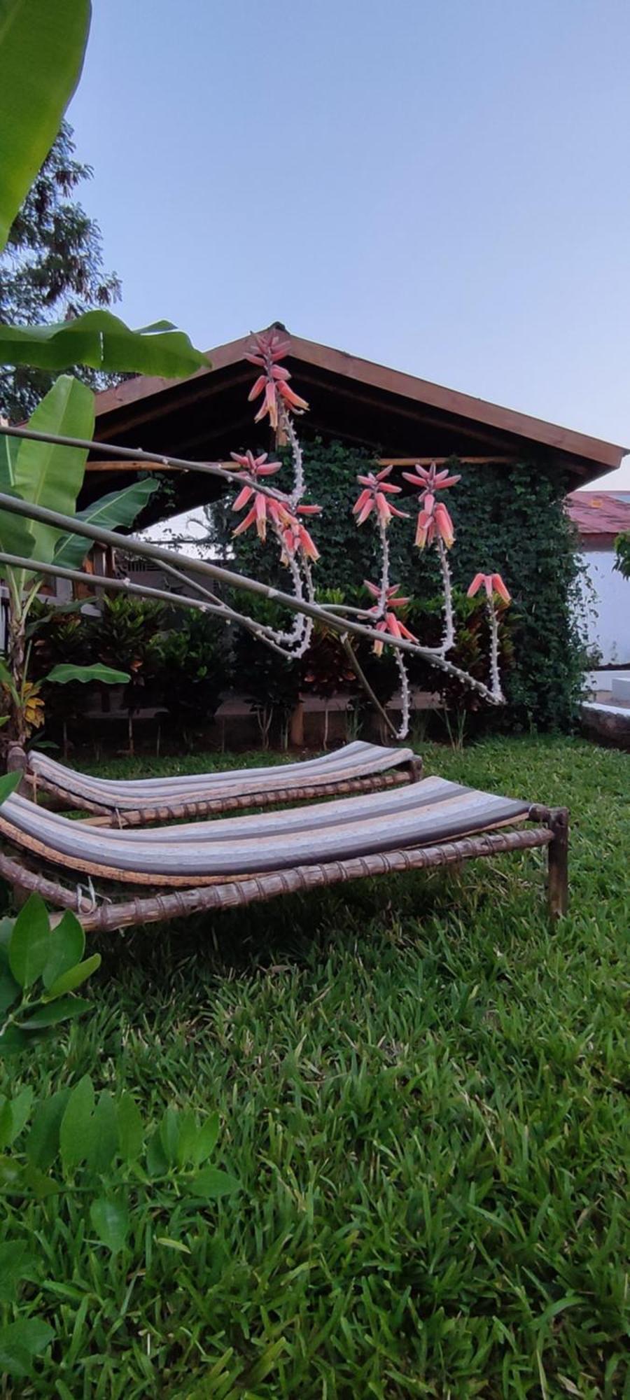 Garden Pearls Hotel Nungwi Bagian luar foto